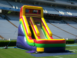 21' Screamer Slide